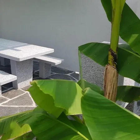 Casa Ramerino Hébergement de vacances Brissago